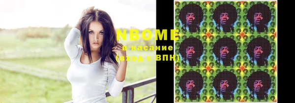 индика Бугульма