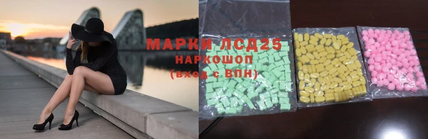 индика Бугульма