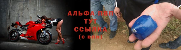 сатива Богородск