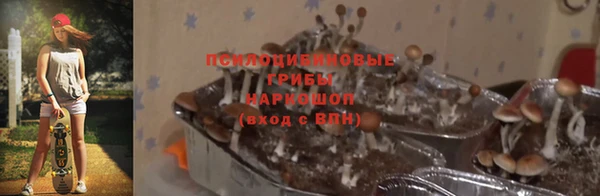 сатива Бронницы
