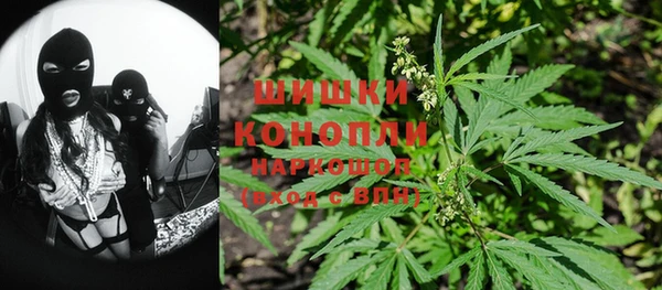 индика Бугульма