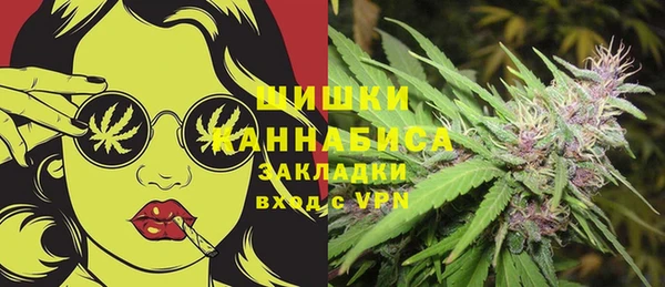 сатива Богородск