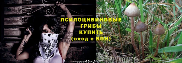 сатива Богородск
