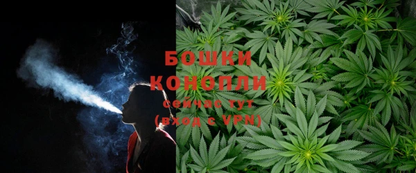 сатива Бронницы