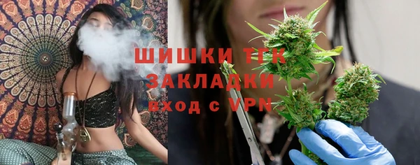 сатива Богородск