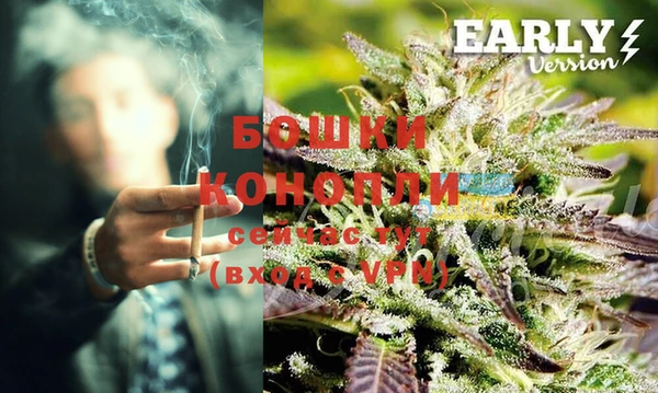 сатива Бронницы