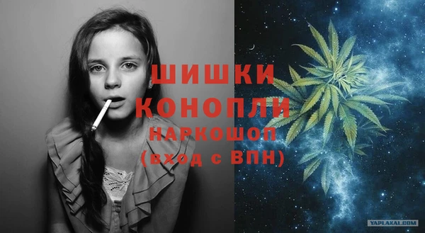 Альфа ПВП Богородицк