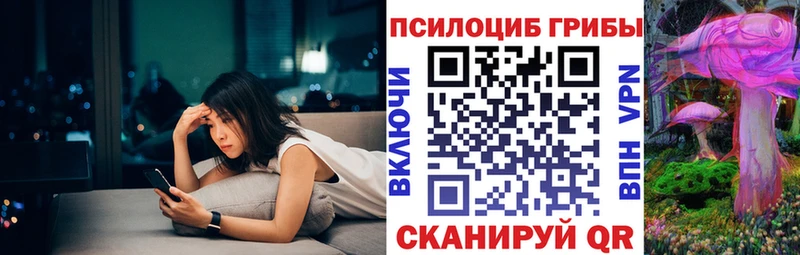 наркота  Тольятти  OMG   Псилоцибиновые грибы Psilocybine cubensis 